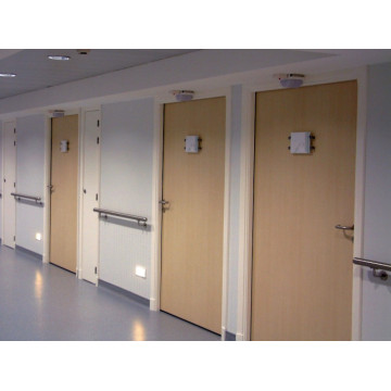 ESPOSITORE KOALA - CA