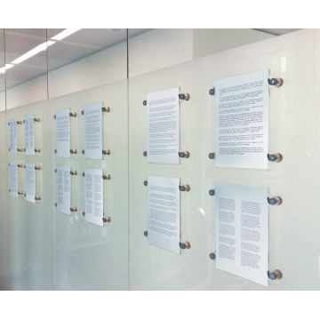 ESPOSITORE KOALA PER VETRO - CA